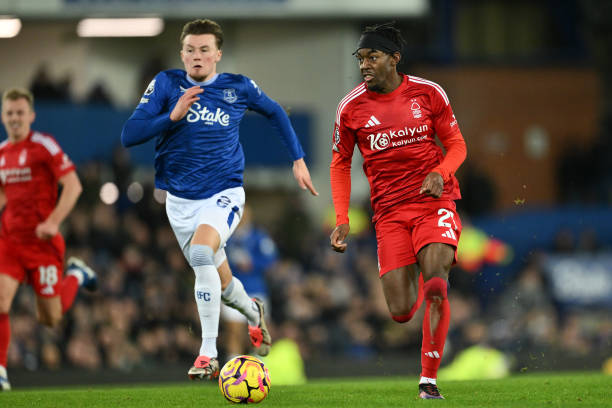 他便在多项 他便在多项